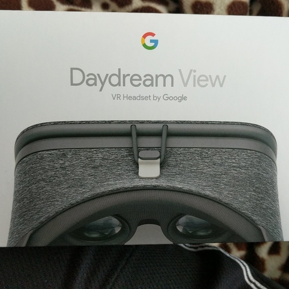 Google virtual reality goggles